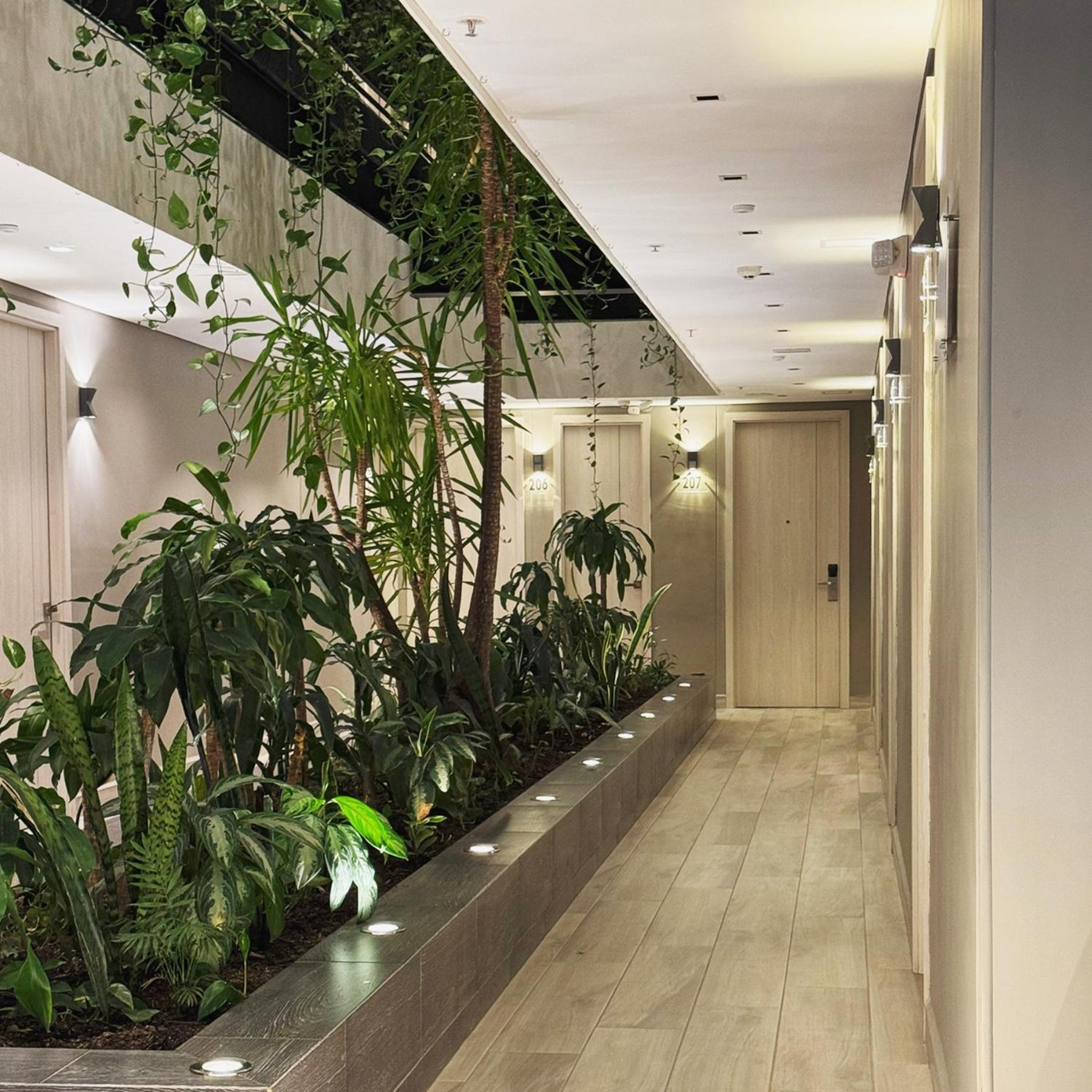 4 Sur Hotel Medellín Eksteriør billede